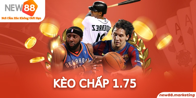 58win2 Ws168 Đá Gà