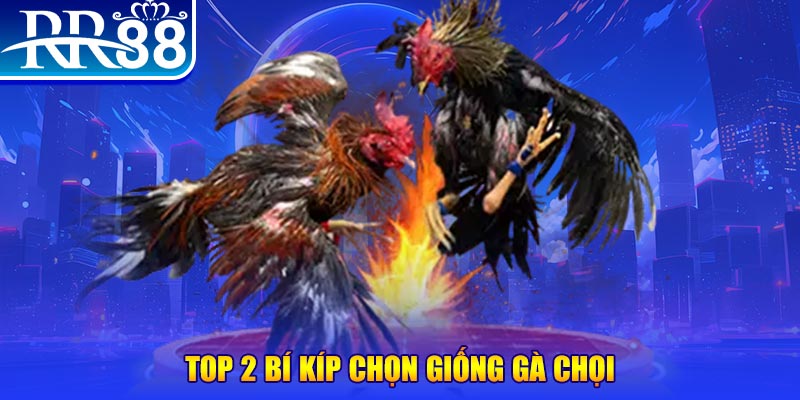 58win2 đăng nhập roulette dễ thắng