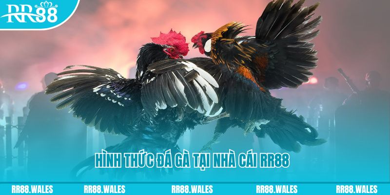 58win2 PS Điện Tử