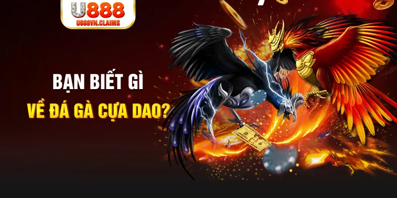58win2 xổ số kiến thiết