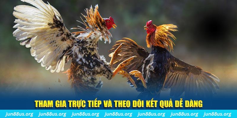 58win2 đá gà trực tiếp bình luận viên
