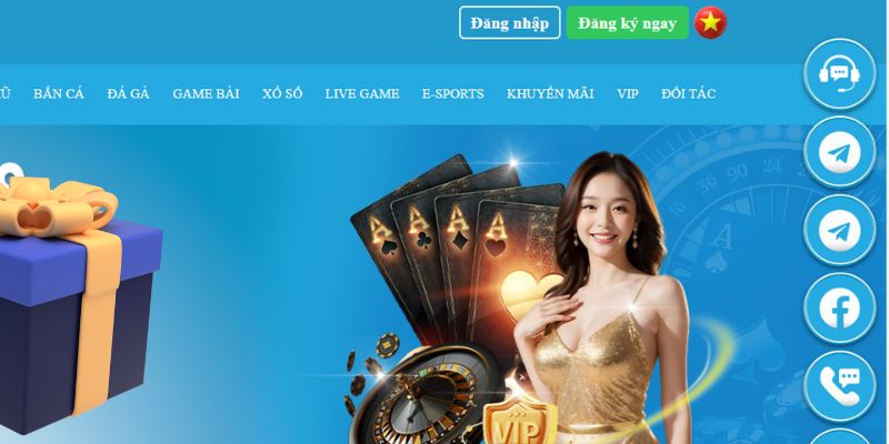 58win2 slot là gì dịch