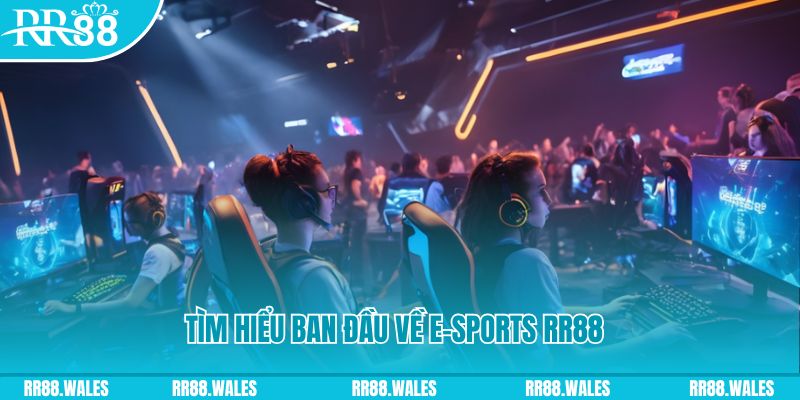 58win2 Đĩa màu ace