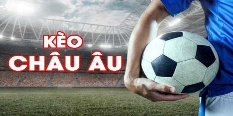 58win2 đá gà trực tiếp casino