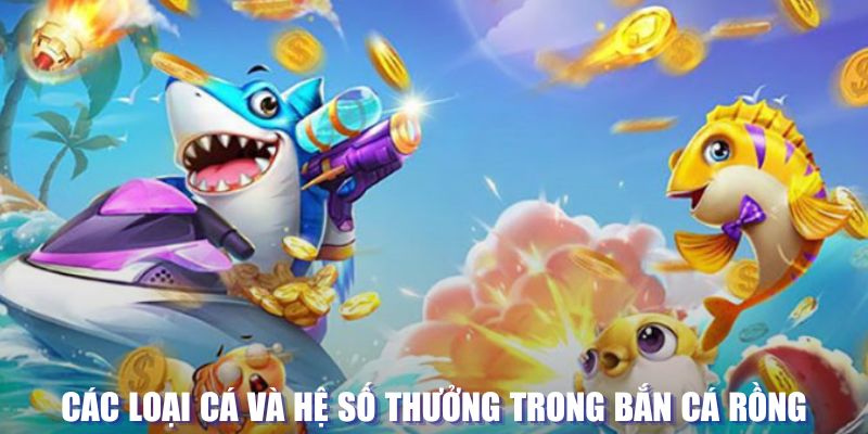 58win2 loi game dot kich ket noi may chu that bai
