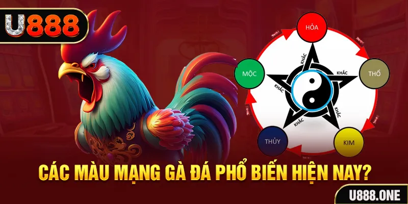 58win2 đăng nhập mậu binh