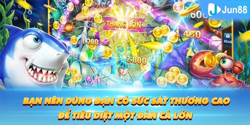 58win2 Tung Đồng Xu
