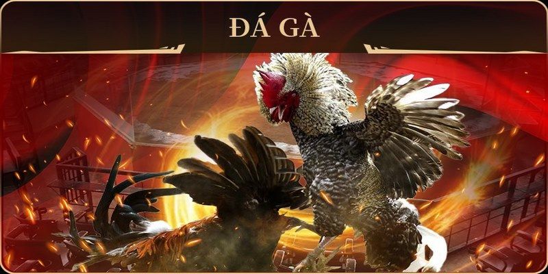 58win2 no hu doi thuong ai