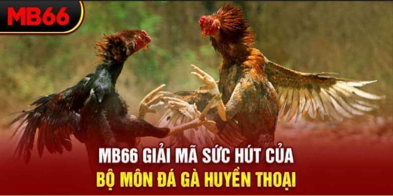 58win2 Phi Đội Ưu Tú