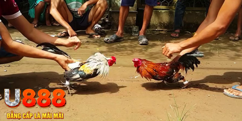 58win2 đăng nhập mậu binh rút tiền nhanh