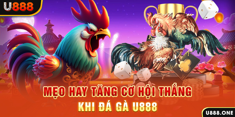 58win2 trực tiếp gà chọi c1