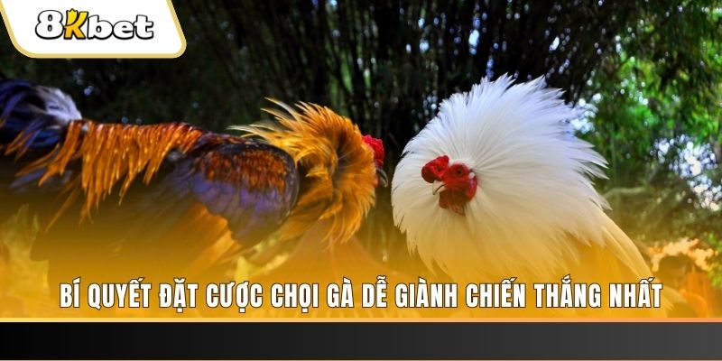 58win2 Tài Xỉu 2