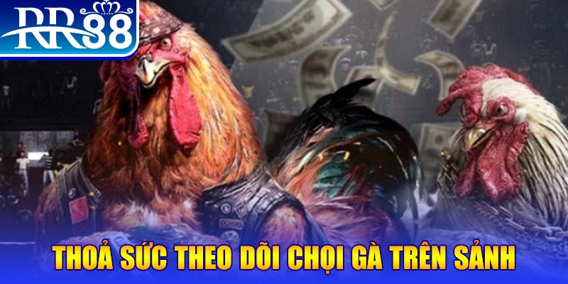 58win2 đá gà 88.com