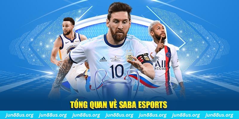 58win2 gà chọi c1 tv trực tiếp hôm nay